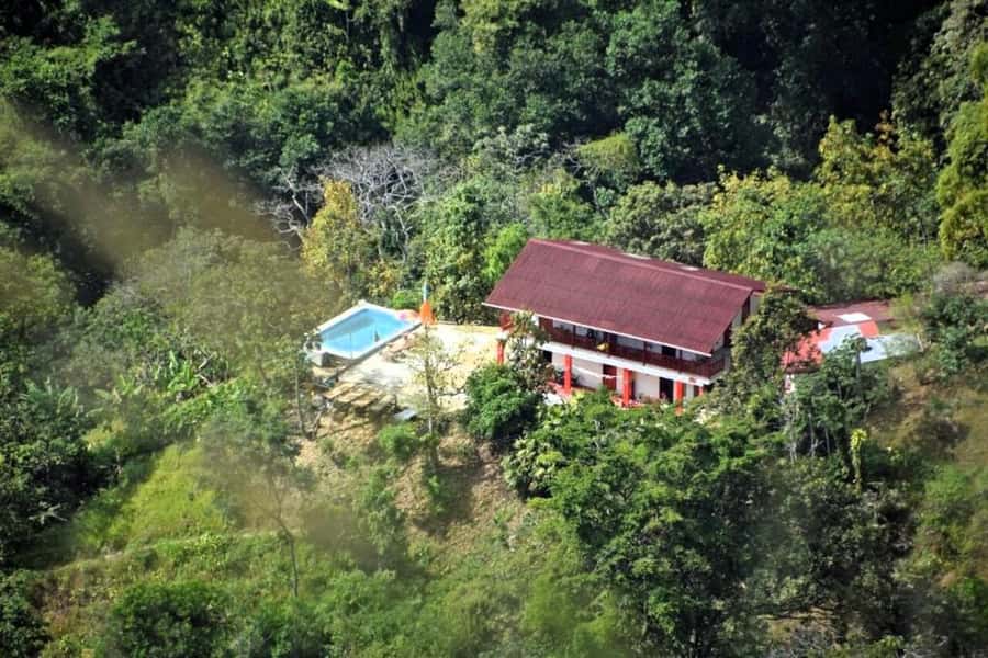 Cacao and Coffee Tour - Inside a coffee and cacao farm founded in 1960