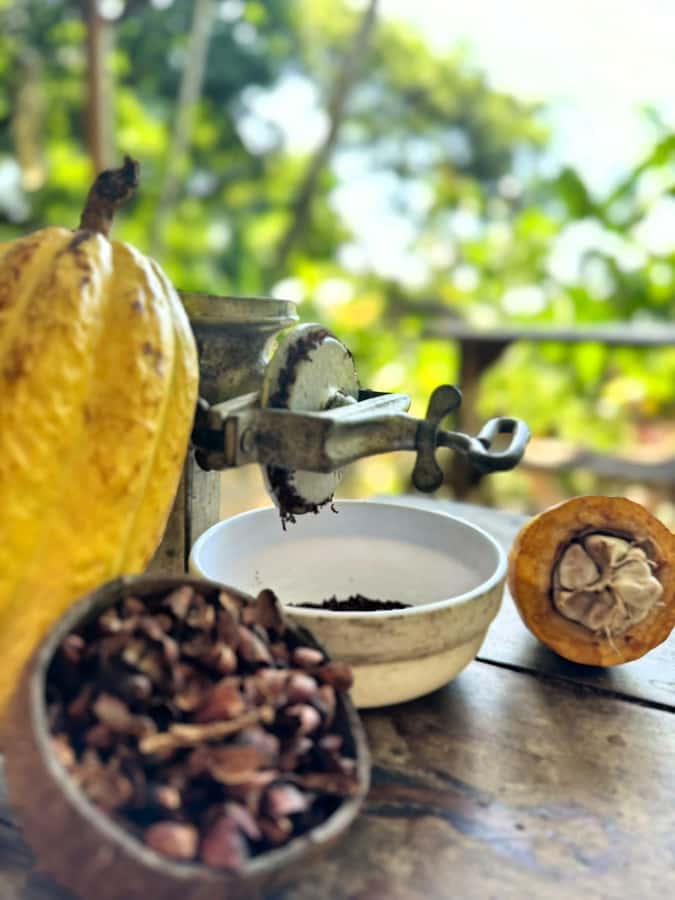 Cacao Experience Tour - Meeting at the Church in Minca, Then Head Into Tayrona Territory