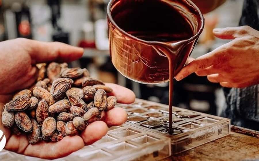 Cacao Experience Tour - Tasting Chocolate in Multiple Forms, Plus Cacao Face Mask Fun