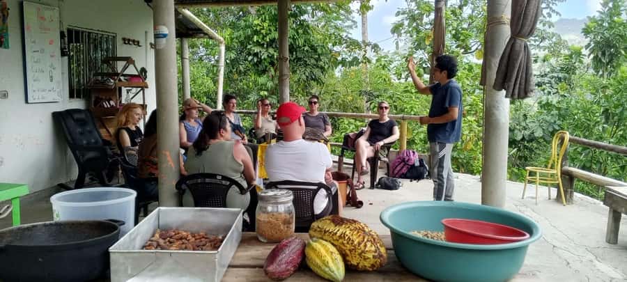 Cacao Experience Tour - Fitness and Safety: Jungle Trails and Water Current Matter