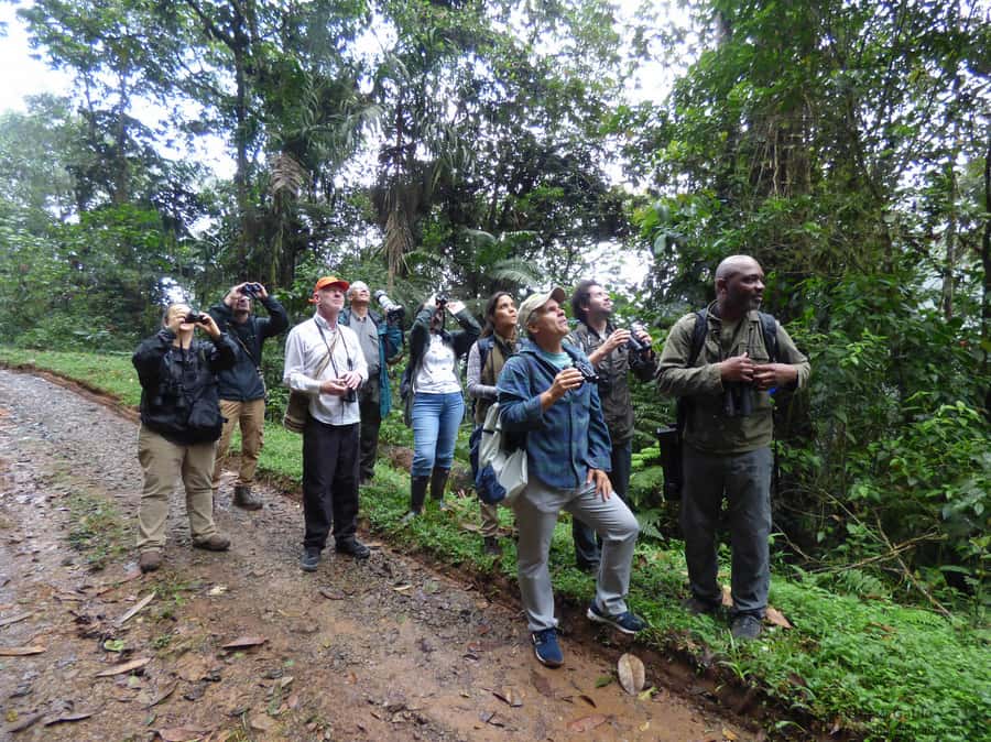Cali: Bird Watching in The San Antonio Fog Forest - What to bring, what to wear, and how to make the fog work for you
