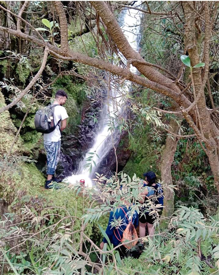 Cali: Cali River Waterfall and Great River Pools Tour - Key Highlights You’ll Feel Immediately