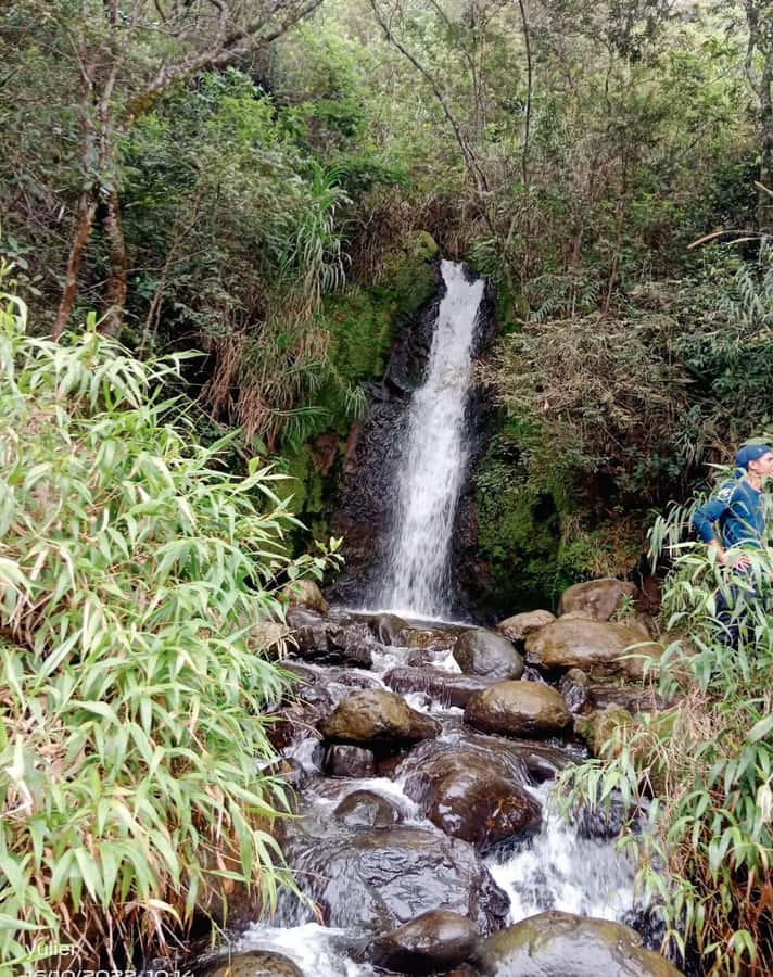 Cali: Cali River Waterfall and Great River Pools Tour - Why This Cali River Waterfall Tour Works So Well Near Town