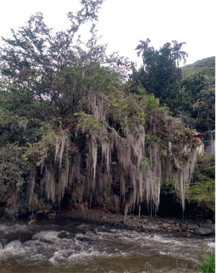 Cali: Cali River Waterfall and Great River Pools Tour - Price and Value: Is About $50 Fair for 3 Hours in Cali River Water?