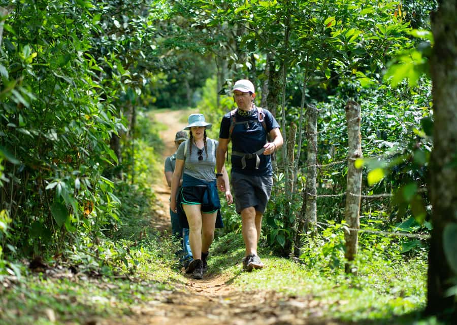 Cali: Hiking to the Pance waterfalls - Key highlights worth planning for