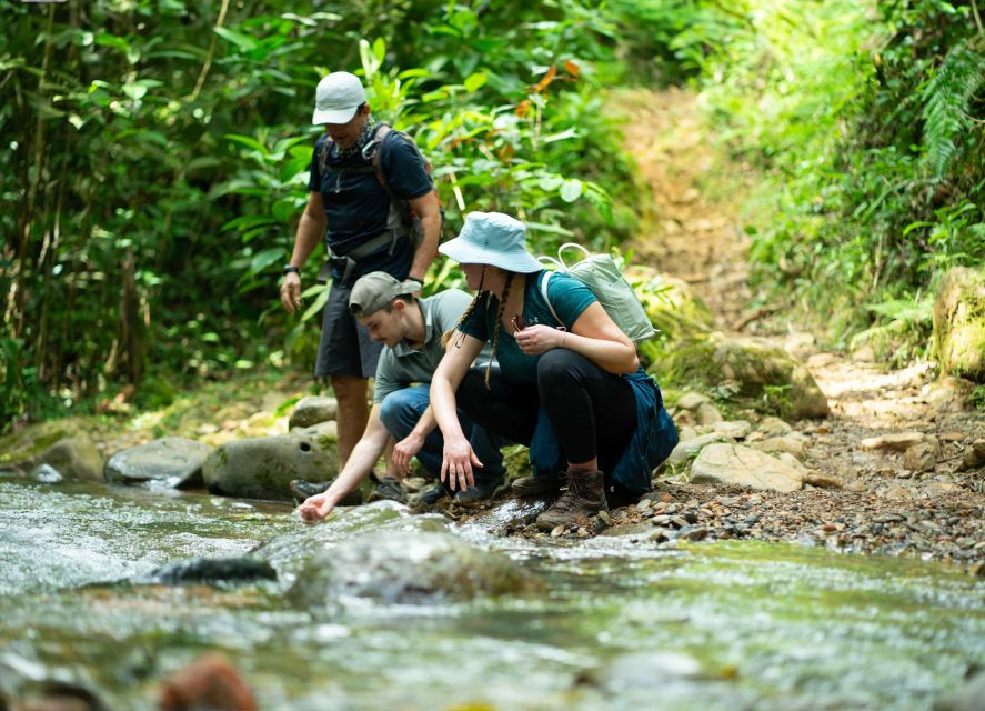 Cali: Hiking to the Pance waterfalls - Biodiversity and bird spotting, why the hike feels more alive