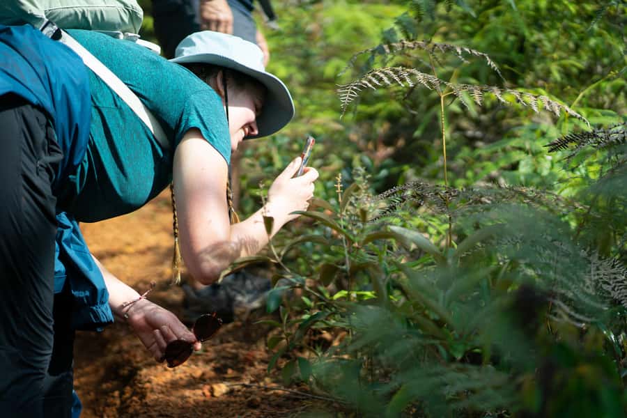 Cali: Hiking to the Pance waterfalls - Price and value: is $119 worth it?