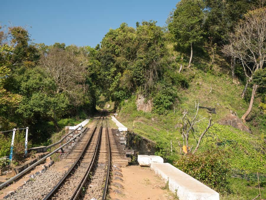 Cali: San Cipriano & River Adventure Day Tour - Key things that make this Cali to San Cipriano day tour click