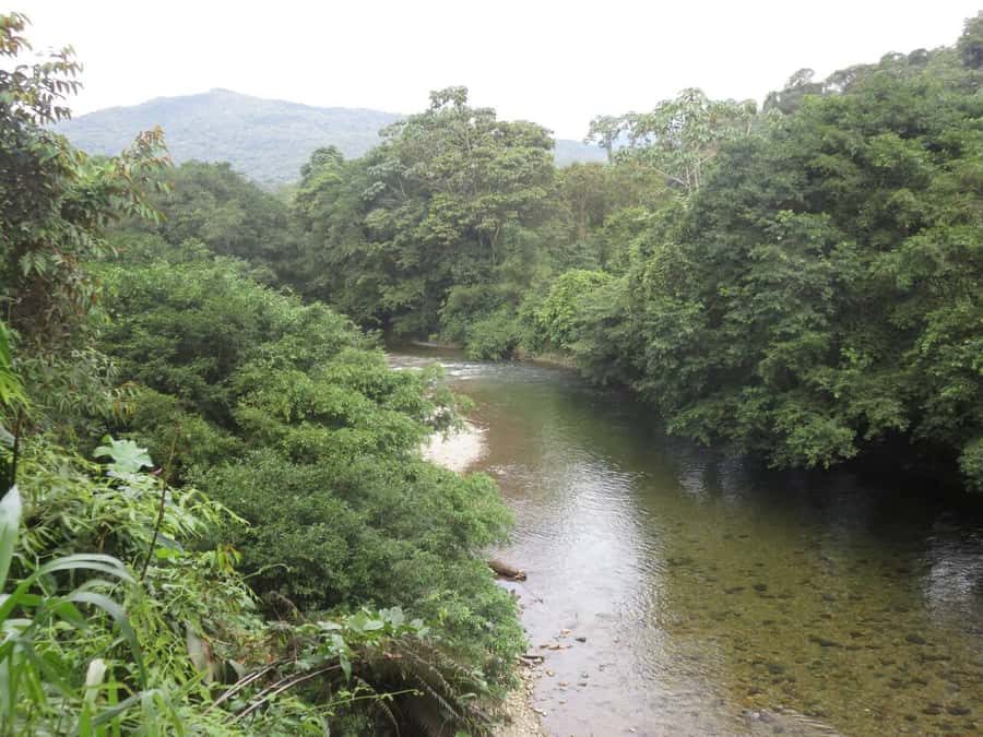 Cali: San Cipriano & River Adventure Day Tour - Who this tour is perfect for, and who should consider other options