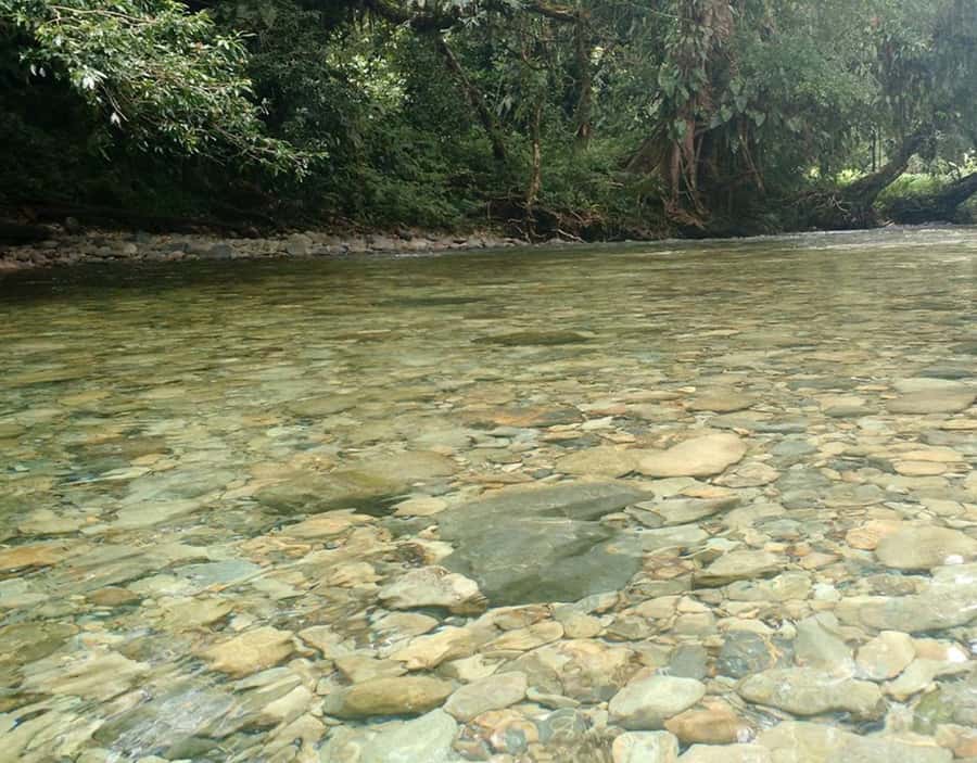 Cali: San Cipriano & River Adventure Day Tour - Should you book the Cali, San Cipriano, and river adventure day tour?