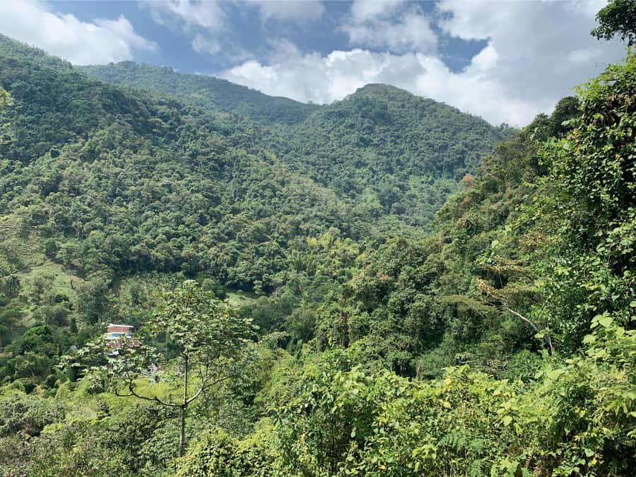 Cali: Tour of Waterfall in Pance River - Chorrera del Indio - What’s included, what’s on you, and how to pack for comfort