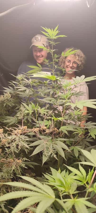 CANNABIS EXPERIENCE - Small group up to 5: how it changes your experience