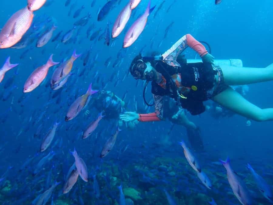 Cartagena: 2 Tanks Dive Plan For CERTIFIED DIVERS - Key things that make this Cartagena 2-tank plan worth it
