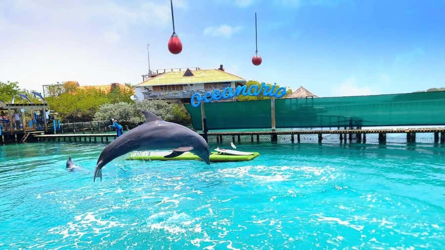 CARTAGENA: 4 islands by sport boat +oceanarium tickets - Rosario Islands by sports boat, what that day really feels like