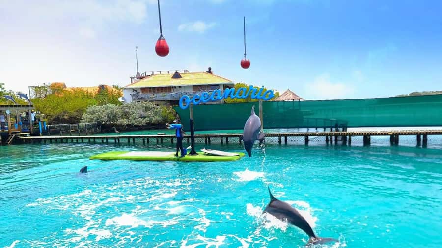 CARTAGENA: 4 islands by sport boat +oceanarium tickets - Oceanarium tickets included: how to make the visit actually work
