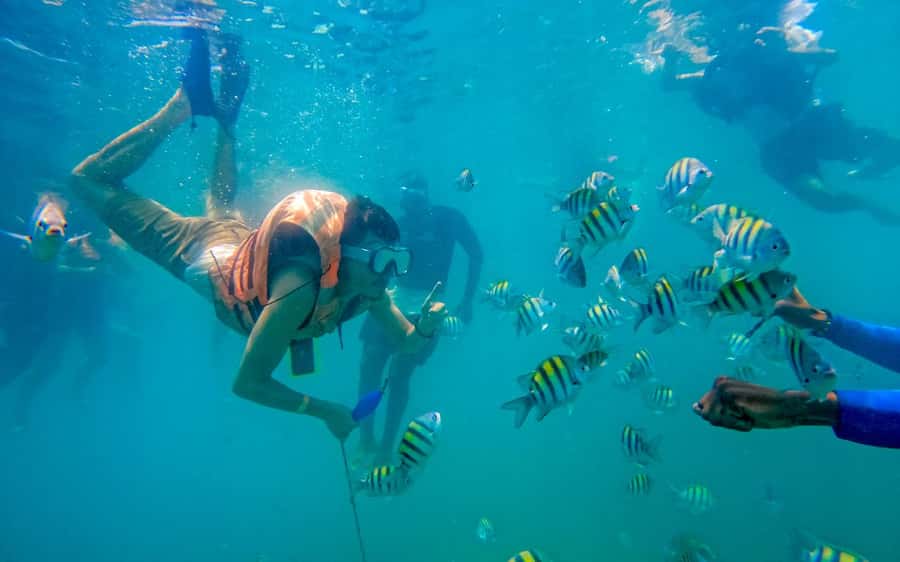 Cartagena: 5 Island Boat Tour with Night Bioluminescent Stop - Playa Blanca on Barú: where the beach time really happens
