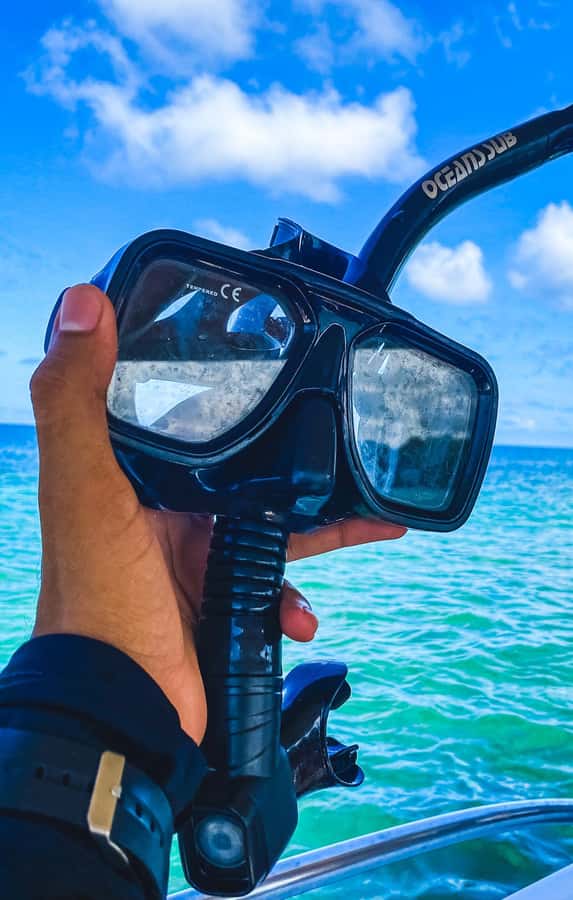 Cartagena: 5 Rosario Islands, Full party with drinks, Snorkeling and lunch - Lunch on Isla Privada, plus what your food options mean