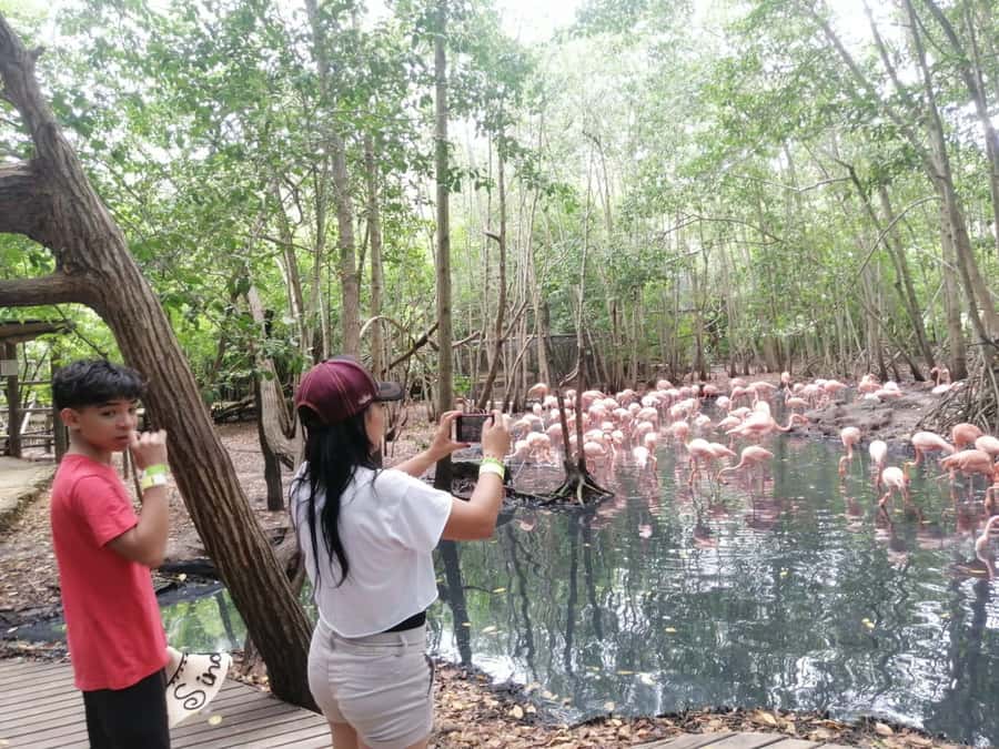 Cartagena: Aviary National Park Tour with Hotel Pickup - The walking loop, how to pace it and what to bring