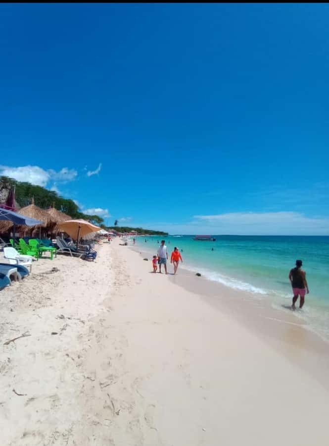 Cartagena: Barù Island Playa Blanca with Lunch - The bridge ride and Barú Island break: where the day starts to feel like vacation