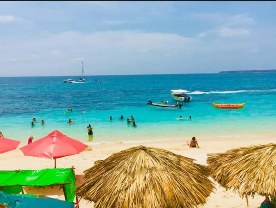 Cartagena: Barù Island Playa Blanca with Lunch - The guide and support setup: bilingual help, English assistance, and less stress