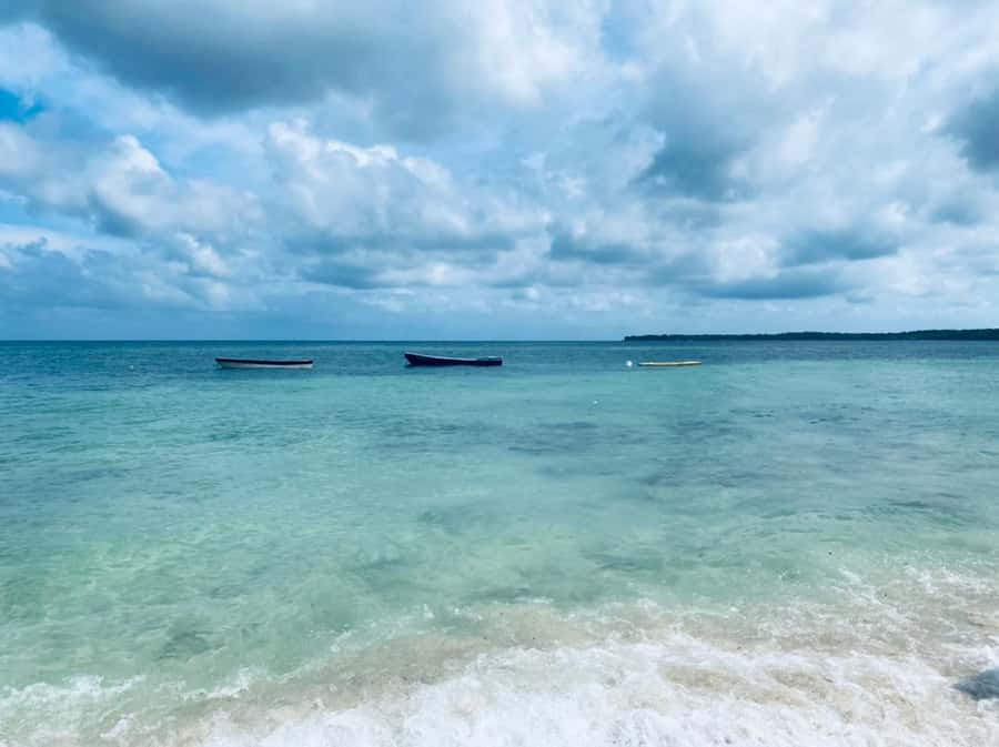 Cartagena: Baru Island & Playa Tranquila Day Trip with Lunch - Hotel Pickup Timing and Meeting Points (Do not wing this)
