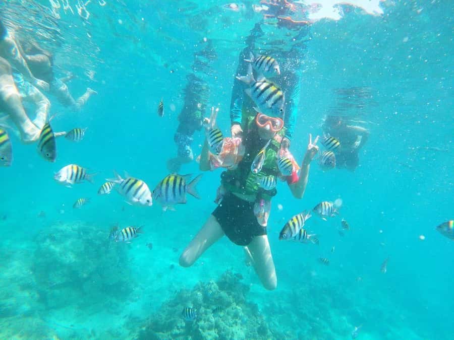 Cartagena: BARÚ Playa blanca with SNORKELING INCLUDED - Should you book Cartagena: Barú Playa Blanca with snorkeling included?