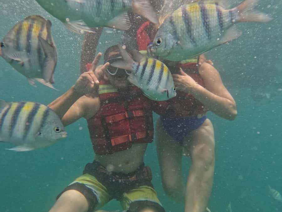 Cartagena: BARÚ Playa blanca with SNORKELING INCLUDED - Barú and Playa Blanca, the simple version of a big day