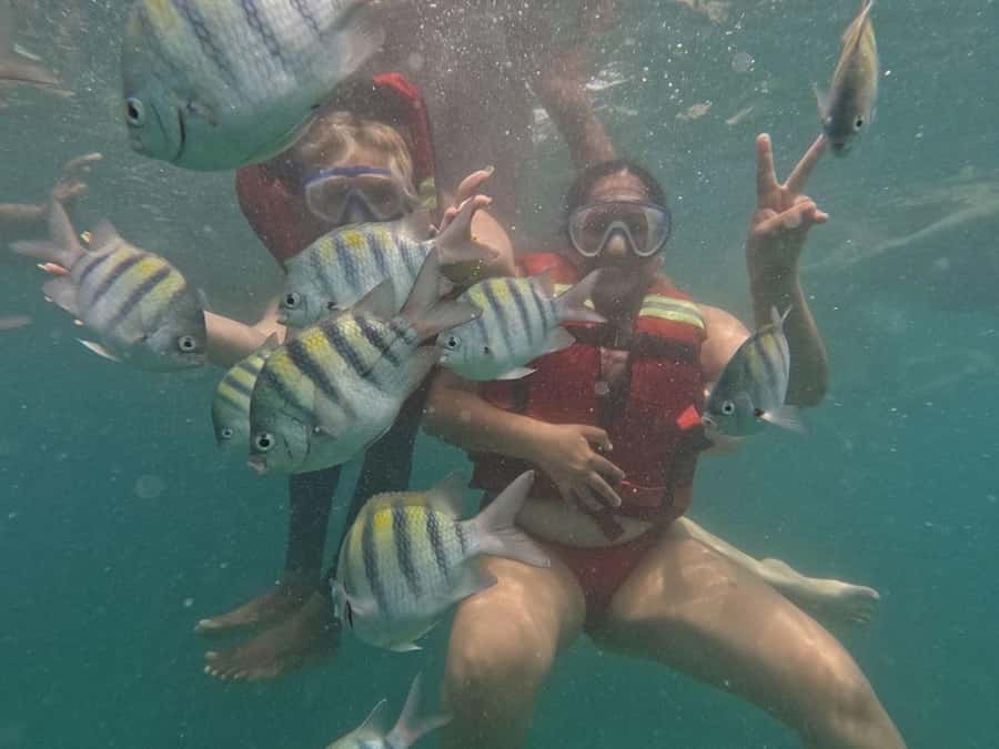 Cartagena: BARÚ Playa blanca with SNORKELING INCLUDED - Snorkeling in clear water, what you should expect to see