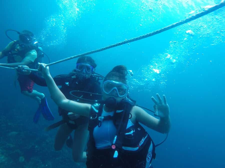 Cartagena: Basic Diving for beginners in Rosario Islands - Key points before you go