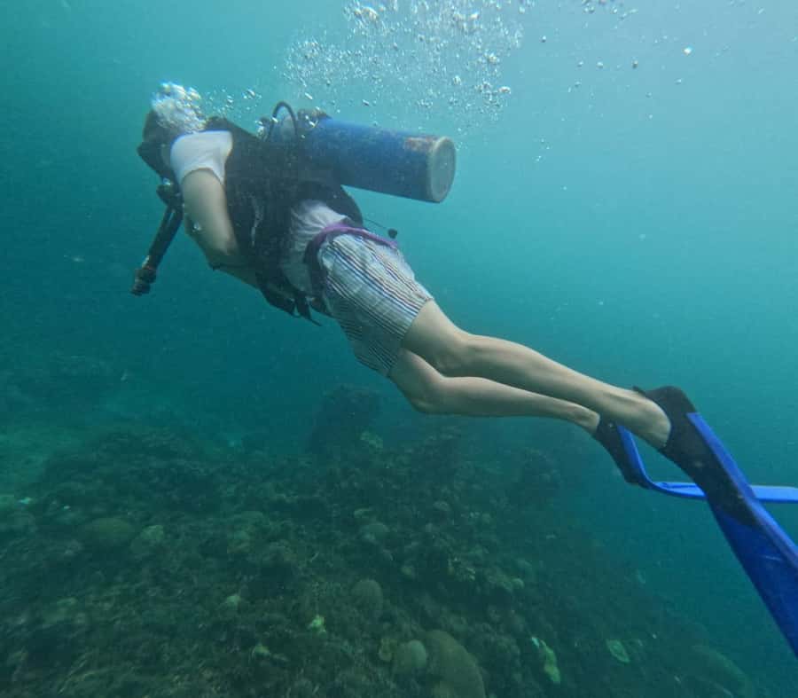 Cartagena: Basic Diving for beginners in Rosario Islands - The lunch on Barú Island is part of the value
