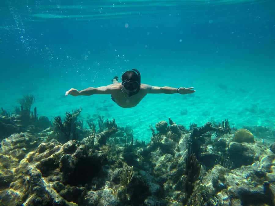 Cartagena: Basic Diving for beginners in Rosario Islands - Playa Blanca: where your beginner scuba course starts