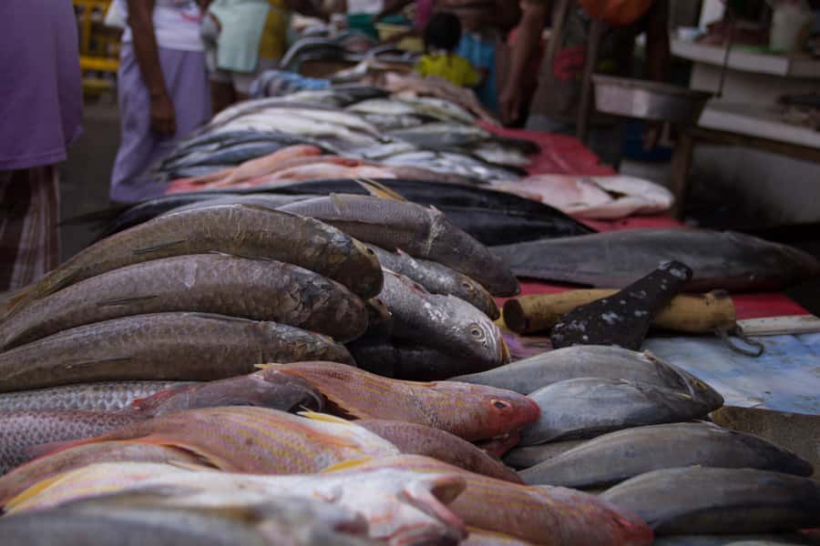 Cartagena Bazurto Market: Authentic Food & Culture Tour - Street art and local crafts: how the market connects to Cartagena’s culture