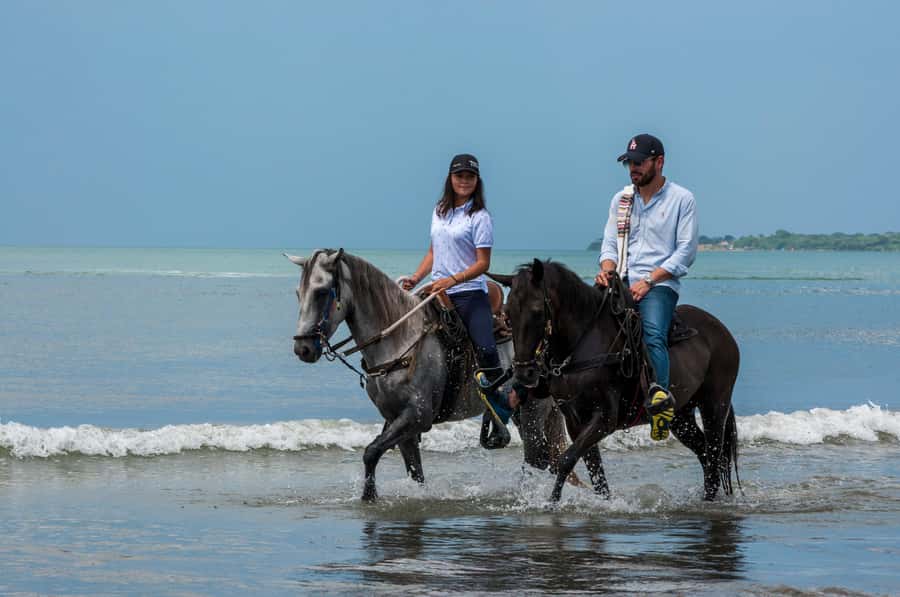 Cartagena: Beach Horse Ride and Colombian Equestrian Culture - Key things you will remember