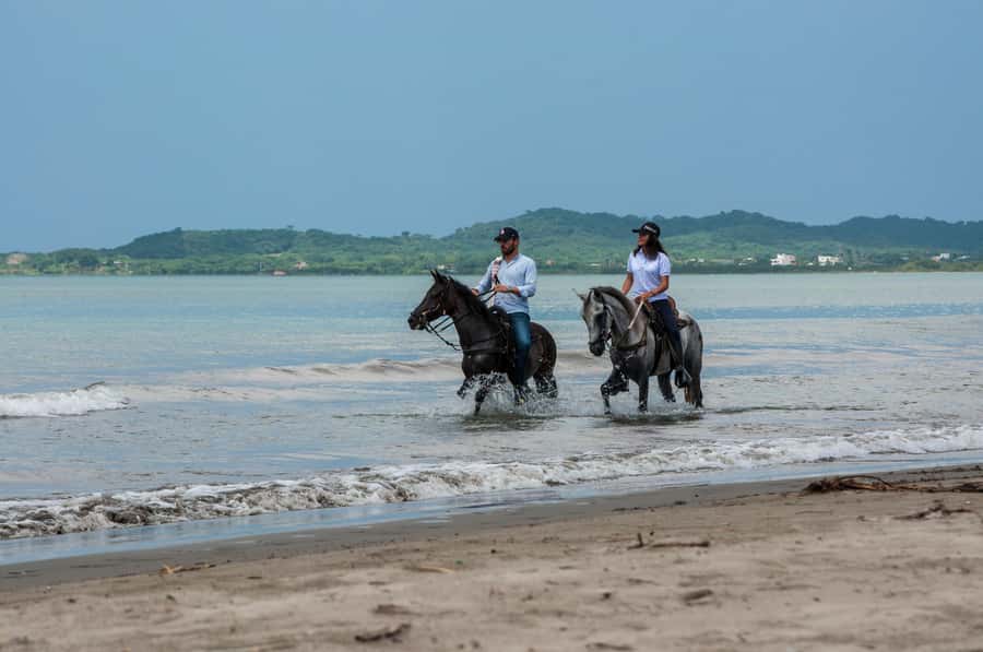 Cartagena: Beach Horse Ride and Colombian Equestrian Culture - Getting matched with your horse, beginner to expert