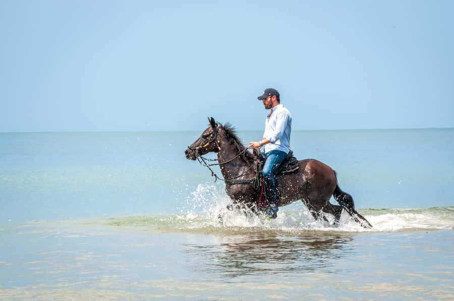 Cartagena: Beach Horse Ride and Colombian Equestrian Culture - The beach ride: pace, photos, and that ocean feeling