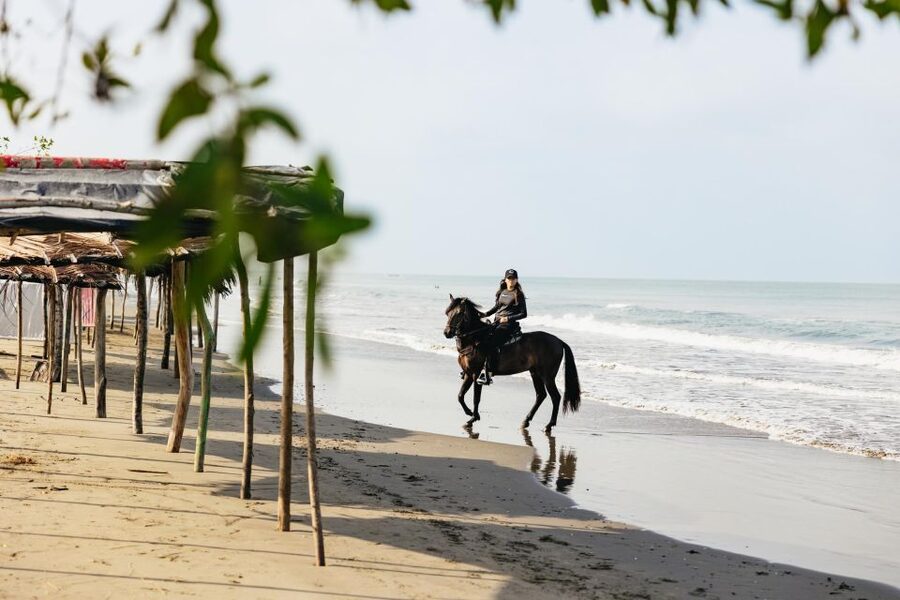 Cartagena: Beach Horse Ride and Colombian Equestrian Culture - Restaurant drink, non-alcoholic refresh, and a smooth finish