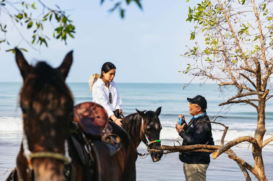 Cartagena: Beach Horse Ride and Colombian Equestrian Culture - Price and value: is $186 per person fair?