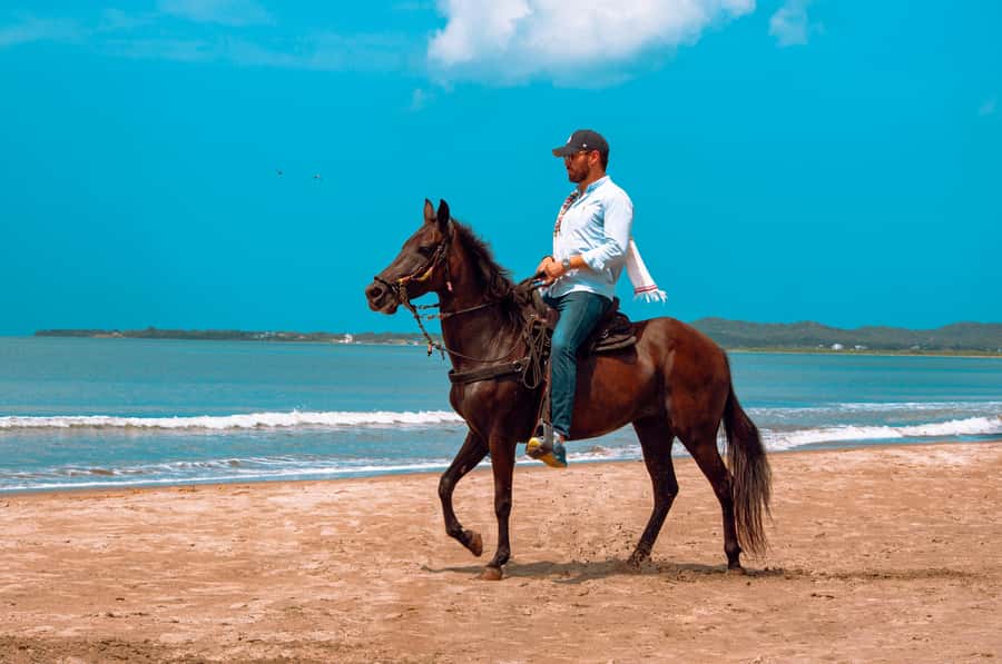 Cartagena: Beach Horse Ride and Colombian Equestrian Culture - Practical tips: what to bring and how to plan your day