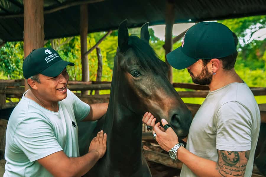 Cartagena: Beach Horse Ride and Colombian Equestrian Culture - The ranch stop: Paso Fino culture and how horses are cared for