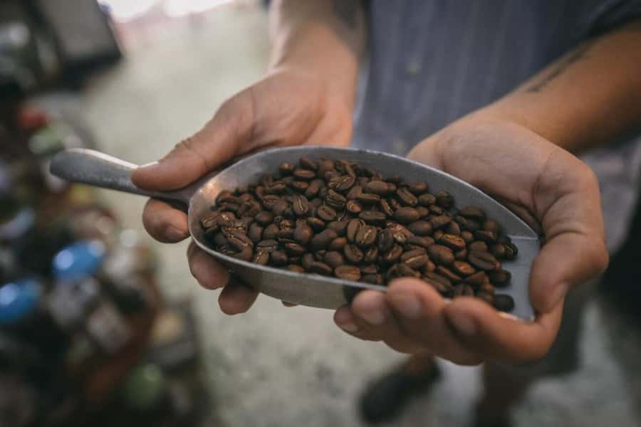 Cartagena Coffee Masterclass: Artisanal Roasting and Brewing - Price and value: $85 makes sense if you use it right