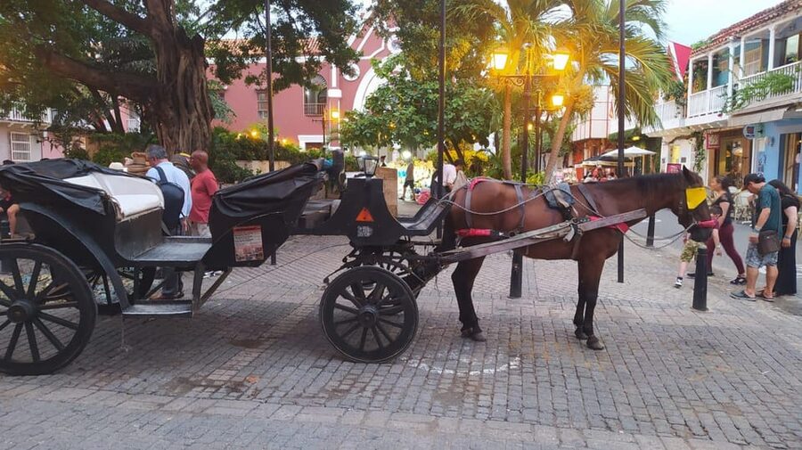 Cartagena: COLLONIAL HORSE DRAWN CARRIAGE by THE OLD CITY - Key points to know before you go