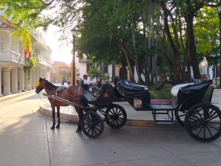 Cartagena: COLLONIAL HORSE DRAWN CARRIAGE by THE OLD CITY - Stop 4: Cartagena Cathedral and the Photo Moment People Remember