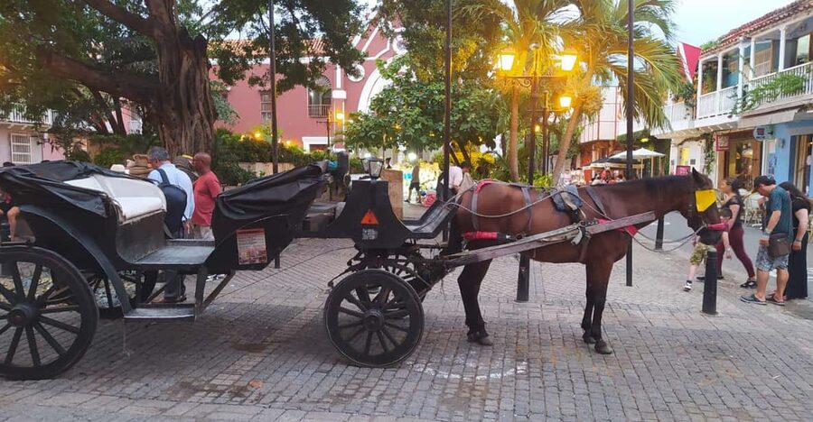 Cartagena: COLLONIAL HORSE DRAWN CARRIAGE by THE OLD CITY - Price and Value: Why $29 Per Group Can Add Up to a Good Deal