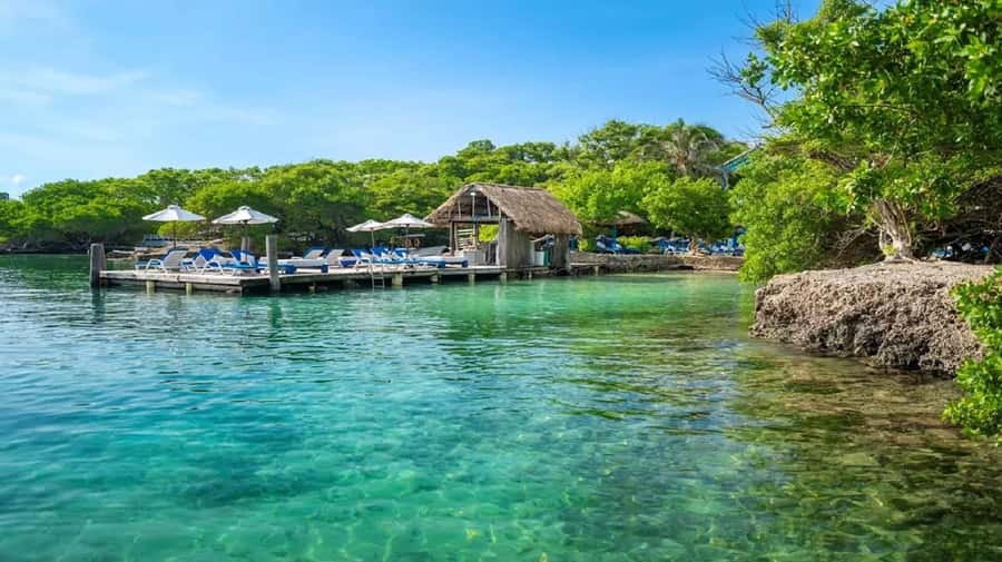 Cartagena: Coralina Island Day Trip with Lunch - Bayside Swimming vs. Mangrove Quiet: How the Two Areas Change Your Day