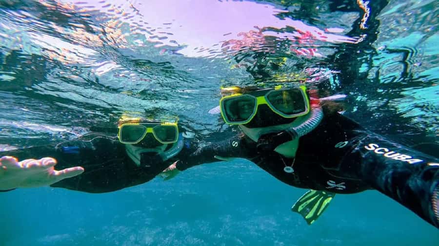 Cartagena: Coralina Island Day Trip with Lunch - Price and Value: $172 Plus Fees You Should Expect