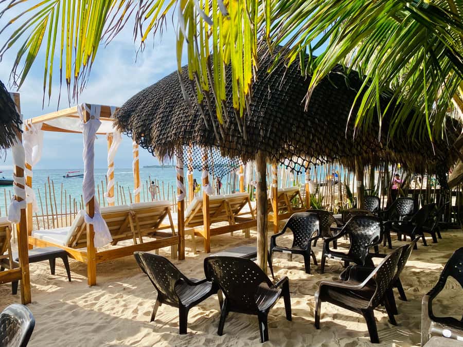 Cartagena: Day Trip Aviary and enjoy Playa Blanca by bus - National Aviary of Colombia: up close with birds, plan for a real walk