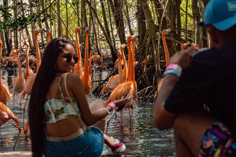 Cartagena: Day Trip Aviary and enjoy Playa Blanca by bus - Getting from Cartagena to Barú by bus: pickup zones and the 8-hour reality
