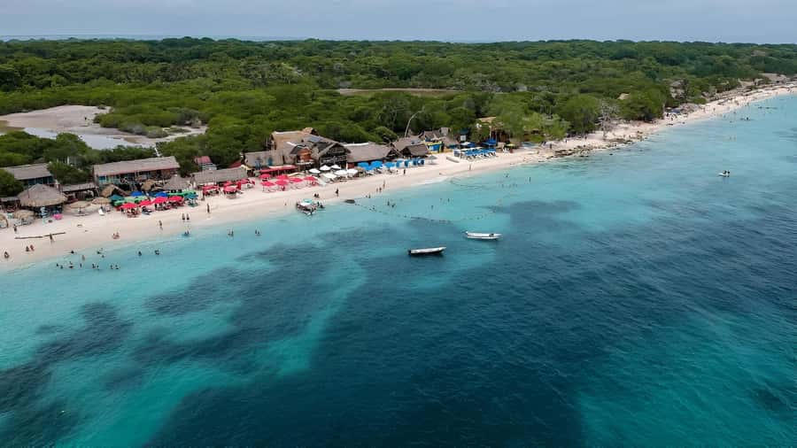 Cartagena: Daytour Aviary and Playa blanca, Barú by bus! - Should you book this Cartagena Aviary and Playa Blanca daytrip?