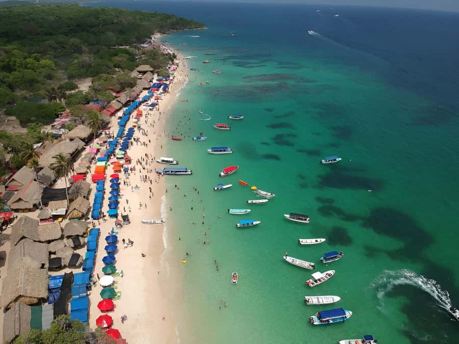 Cartagena: Daytour Aviary and Playa blanca, Barú by bus! - Why this daytrip works: Aviary + Playa Blanca, Barú in one plan