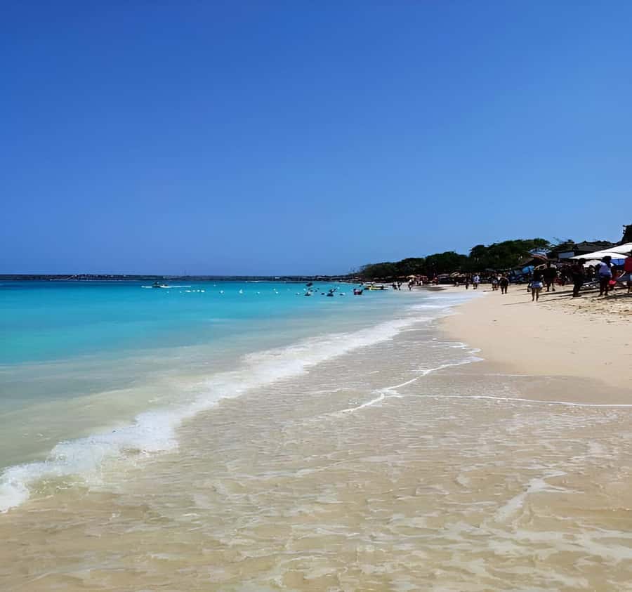 Cartagena: Daytour Aviary and Playa blanca, Barú by bus! - Playa Blanca, Barú: beach time, lunch, and the optional extras